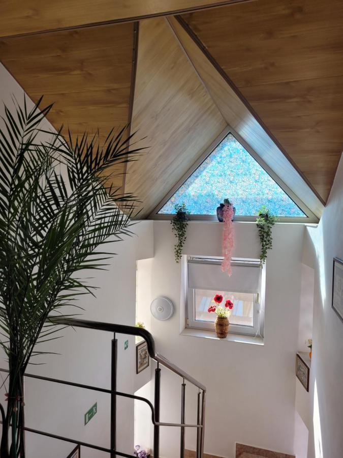 Vila Liz Eforie Nord酒店 外观 照片