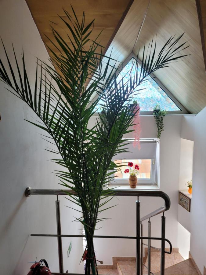 Vila Liz Eforie Nord酒店 外观 照片